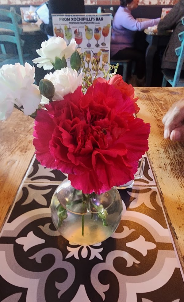 Xochipilli Taco Bar-decor