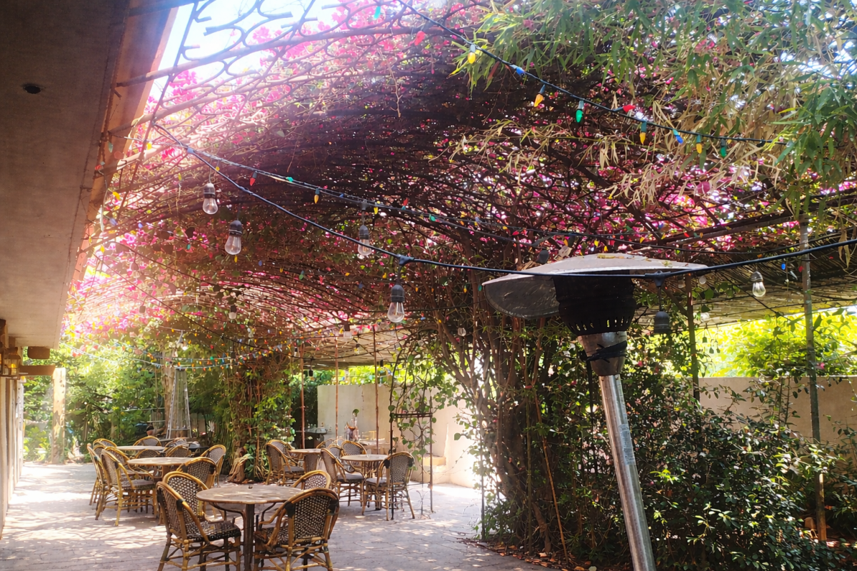Garden Cafe, Patio