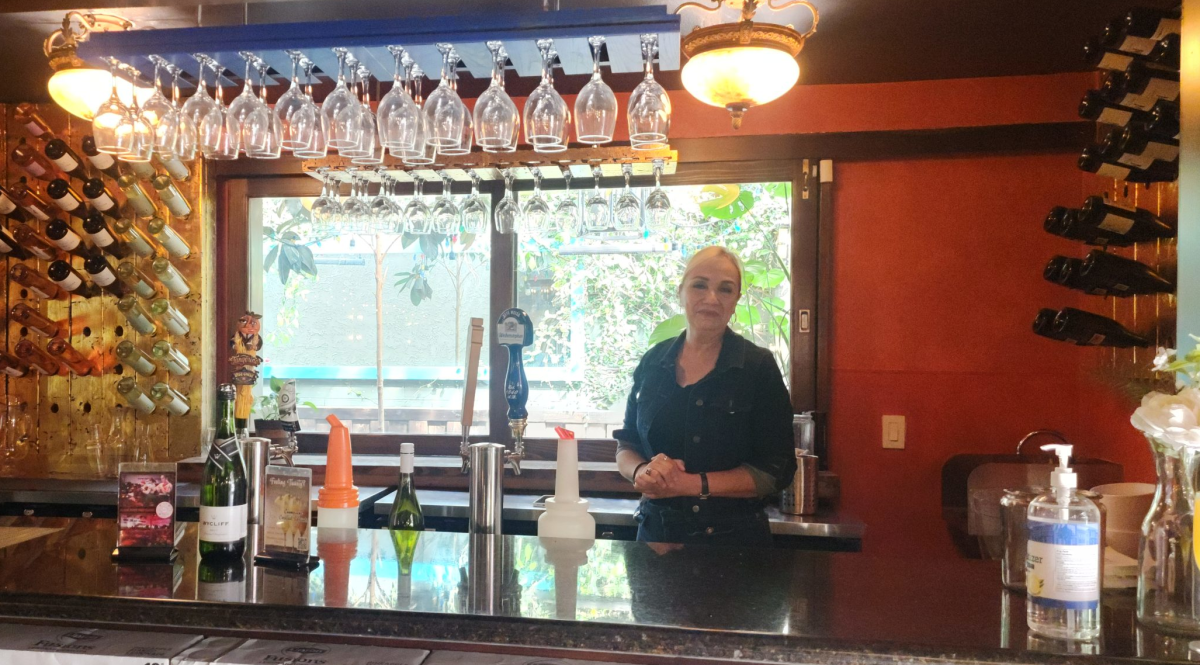 Garden Cafe - bar area